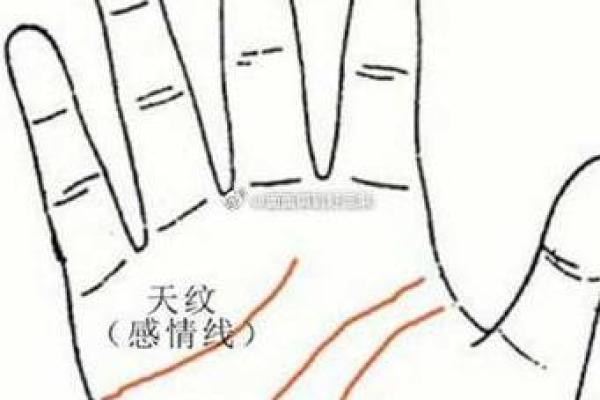 手相揭秘：揭秘手相中的虎丘之谜，让你一眼看穿命运