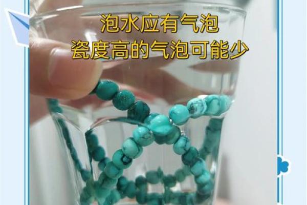 水中木命：神秘力量，揭秘生命之源的神奇作用