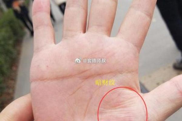 掌中藏金，手纹昭示富贵人生