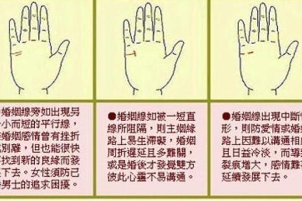 手相揭秘：感情婚姻线揭示你的爱情命运