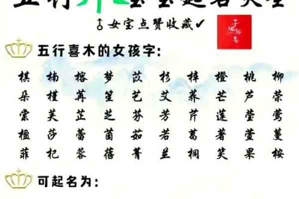 羽字五行属性揭秘！了解它如何影响你的命运