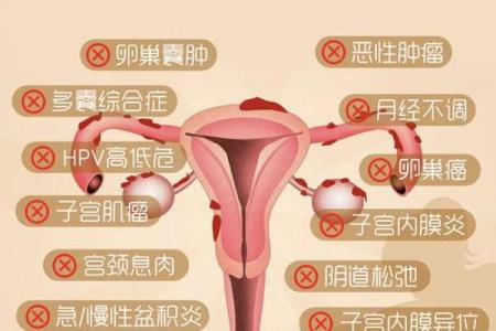 妇科面相揭秘：看面相知健康，女人必看