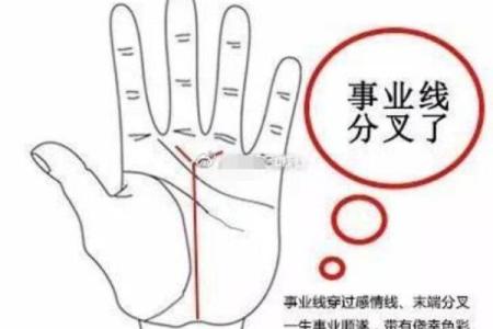 晚年事业巅峰，揭秘晚年干事业者的手相奥秘
