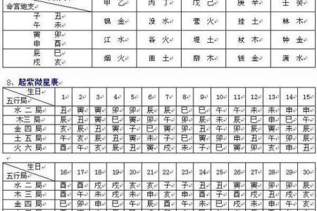 免费紫薇斗数排盘软件下载，轻松解读人生运势