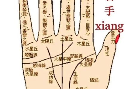 揭秘：梦中帮你看手相，预示着你的人生运势大揭秘