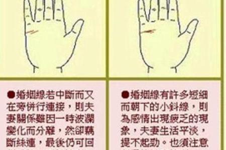 手相揭秘：感情婚姻线揭示你的爱情命运