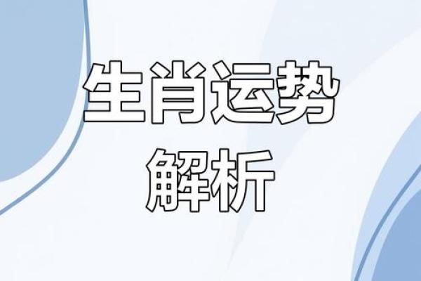揭秘西四命八卦：你的生肖运势如何？