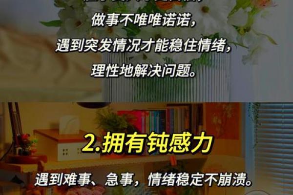 掌握排盘技巧，轻松解读你的人生命运
