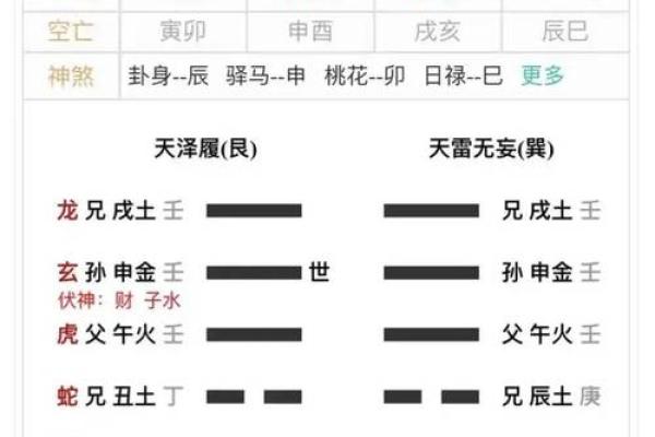 电脑排盘六爻真的能预测未来吗？揭秘背后的秘密