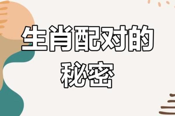 揭秘神秘夜生肖：带你领略生肖之夜的独特魅力