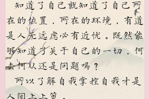 立刻体验免费命八字排盘，揭开命运的神秘面纱