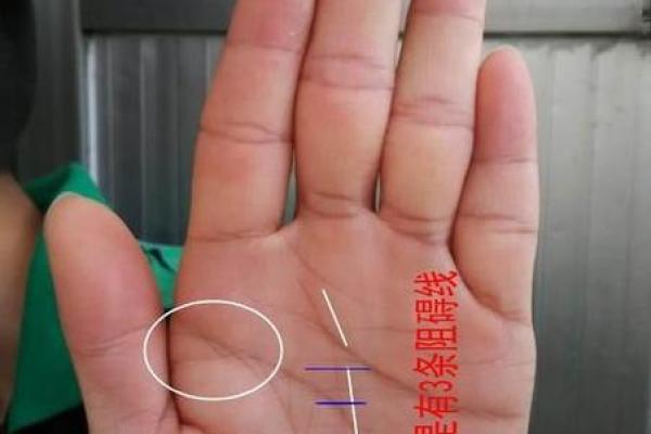 晚年运势大揭秘快来看看你是否有这些坏手相