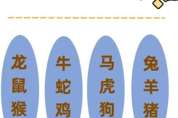 老虎龙配？揭秘神秘组合的婚姻奥秘