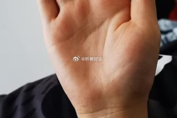 左手右手皆能揭秘命运手相大师亲授，揭秘你的人生密码