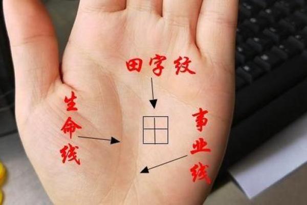 左手右手皆能揭秘命运手相大师亲授，揭秘你的人生密码
