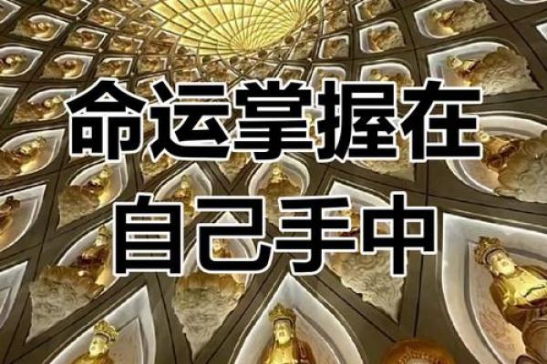 让命运为你掌控，达摩一掌经排盘APP大揭秘