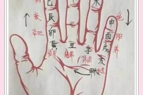 天干长生：探索命运的核心法则