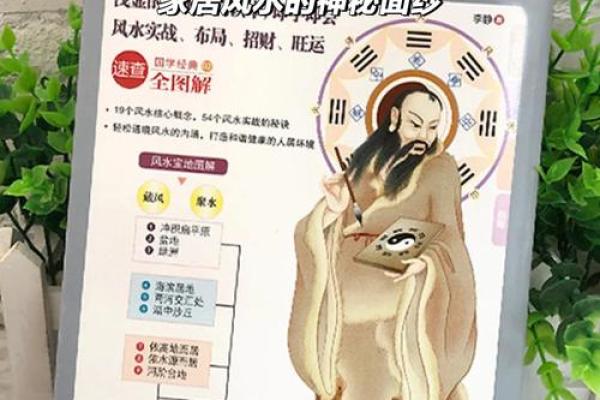 揭秘全自动风水学习机：一机在手，风水大师养成不是梦