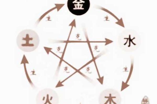 蛋五行属什么？从五行角度分析其秘密