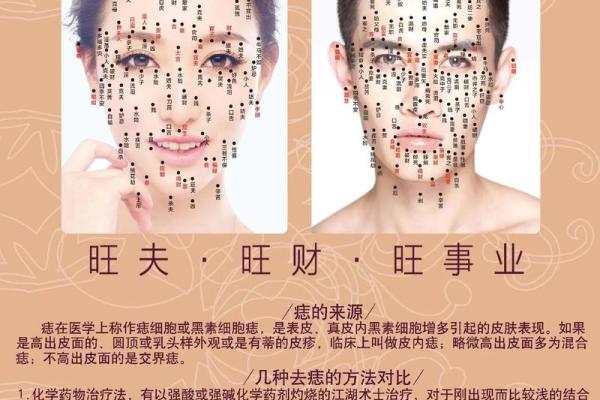 一图看懂相脸上痣图解大全，财运、健康、命运全解析