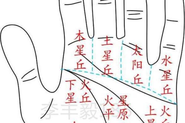 揭秘手相奥秘：免费手相解读，让你的人生运势一目了然