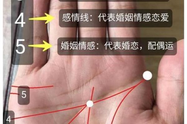 揭秘手相奥秘：免费手相解读，让你的人生运势一目了然