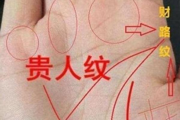 揭秘手相中的神秘贵人线，助你财运亨通、人生辉煌