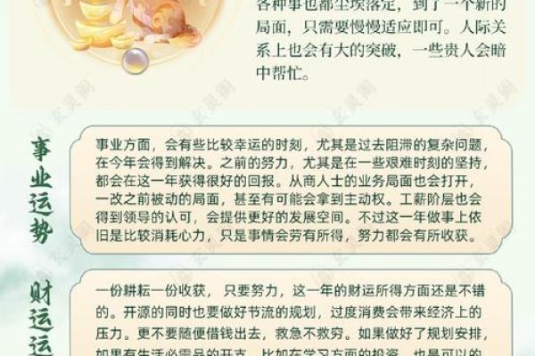 生肖攀登巅峰：勇攀生肖高峰的壮丽征程