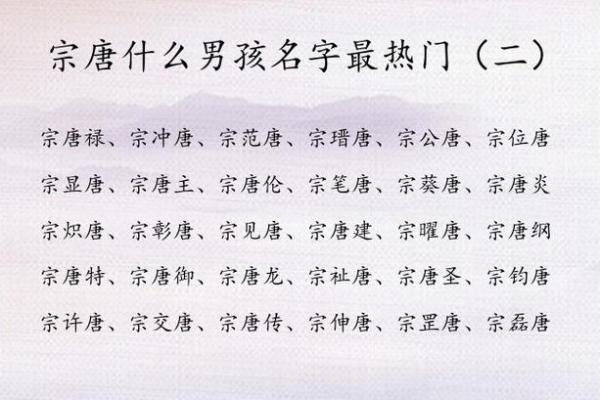 唐姓起名趋势分析