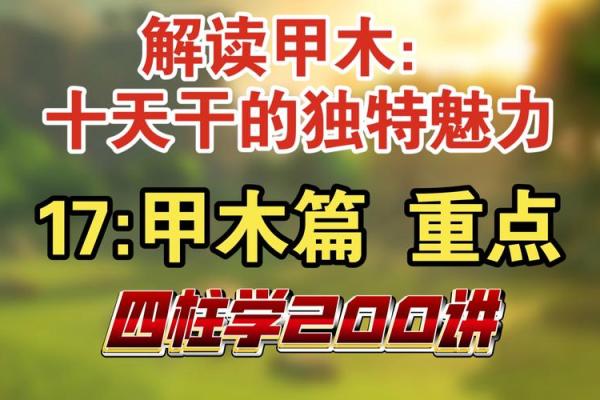 如何通过天干全甲掌控未来的成功密码