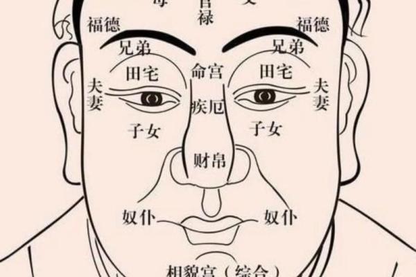 揭秘面相奥秘：鼻子面相大全，让你一眼识人