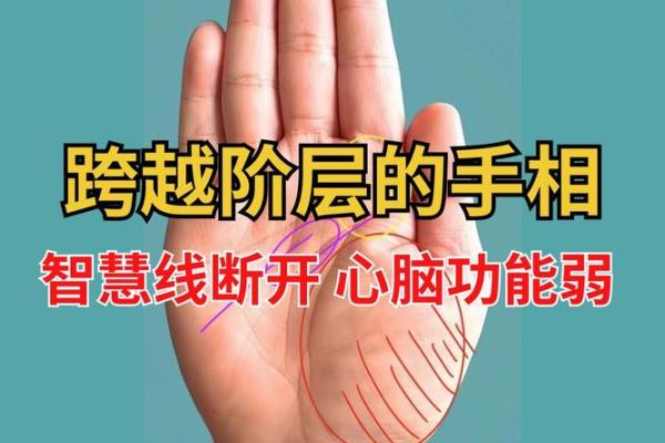 手相神秘之谜：揭秘无事业线者的成功之道