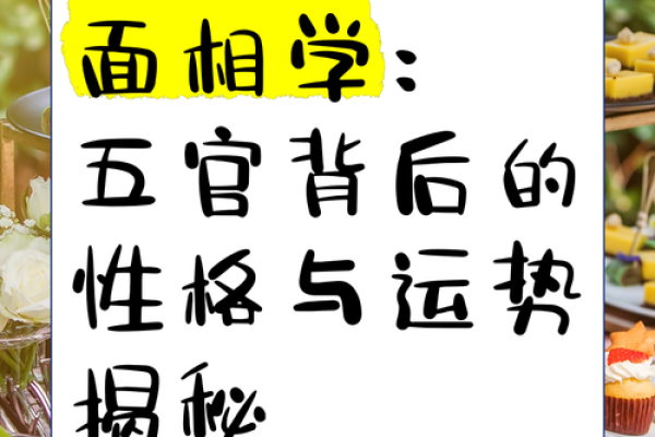 十面相揭秘：96种面相特征，揭秘命运与性格
