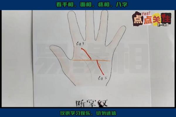 手相断掌通贯手纹，揭秘命运走向的神秘密码