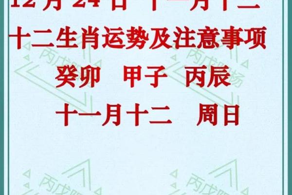 23虚岁：揭秘生肖之谜，你的生肖运势如何？