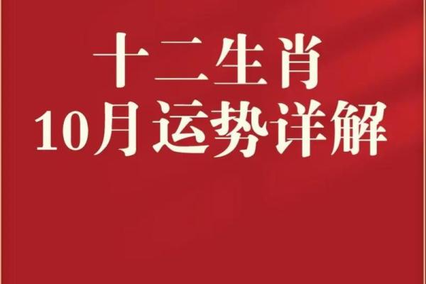 春秋大爱生肖揭秘：揭秘生肖之谜，谁将收获幸运生肖？