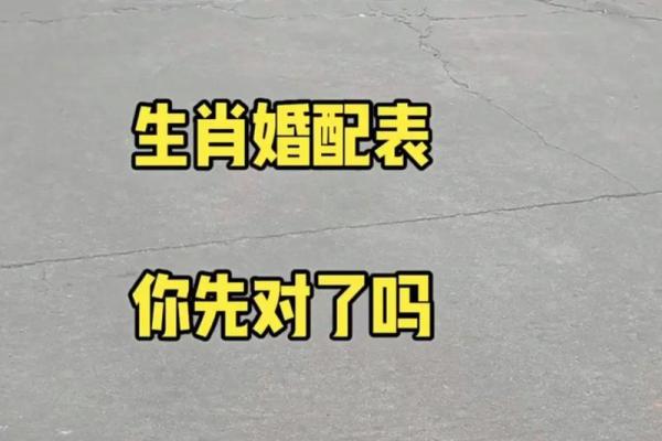 猪女配鸡男，缘分天注定？