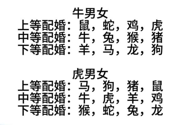 鸡马配对大揭秘：生肖相性大碰撞