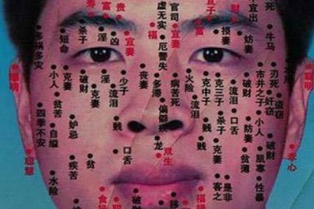 满脸痣的面相解析：揭秘痣相中的运势与命运