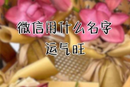 庆字五行揭秘，了解你的名字能带来什么好运