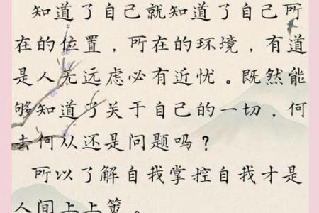 立刻体验免费命八字排盘，揭开命运的神秘面纱