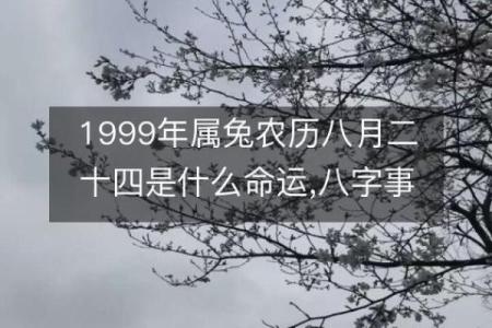 为什么戊子日五行属土？深度解析背后的含义