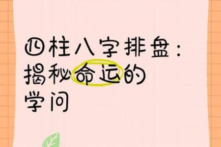 让命运为你掌控，达摩一掌经排盘APP大揭秘