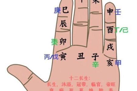 天干长生：探索命运的核心法则
