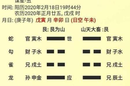 国际六爻排盘揭秘：如何通过六爻预测人生走向