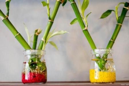鬼推磨揭秘：揭秘家居风水禁忌，让你的家居布局焕发生机