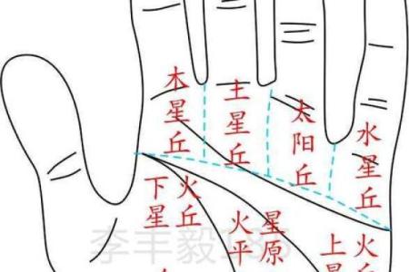 揭秘手相奥秘：免费手相解读，让你的人生运势一目了然