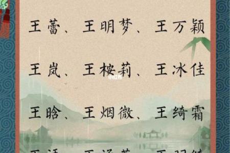 给王姓宝宝取个好名字，聪明又有气质
