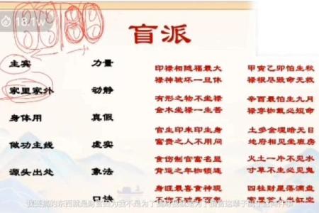 段建业茫派命理：掌握命运的终极法宝