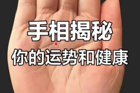 揭秘手相奥秘，一掌掌握运势财运